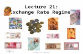 ITF220 Prof.J.Frankel Lecture 21: Exchange Rate Regimes.