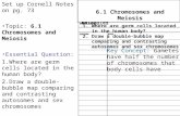 6.1 Chromosomes and Meiosis Set up Cornell Notes on pg. 73 Topic: 6.1 Chromosomes and Meiosis Essential Question: 1.Where are germ cells located in the.