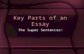 Key Parts of an Essay The Super Sentences!. An Essay Must Have Beginning: The Introduction –Grabs the reader’s attention, introduces the topic, and establishes.