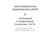 Intra-Abdominal Hypertension (IAH) Abdominal Compartment Syndrome (ACS) & By: Tim Wolfe, MD Email: twolfe@wolfetory.com.