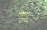 Delphi AED 615 Q. Molina. Objectives Become familiar with the social science research method known as Delphi.