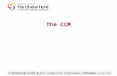 The CCM. Overview GF Basics CCM Basics Useful Tools for the CCM –CCM Funding –CCM Oversight tool.