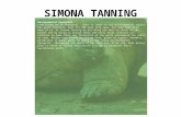 SIMONA TANNING Environmental Footprint From blueprint to footprint - When it comes to our environmental impact the giant tortoise, over its 100 year life.