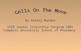 By Ashley Maidon STEP Summer Internship Program 2001 Campbell University School of Pharmacy.