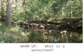 WARM UP: What is a watershed?. Watershed: The area of land that precipitation drains into a river system is known as a watershed. We live in the Chesapeake.