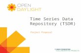 Www.opendaylight.org Time Series Data Repository (TSDR) Project Proposal.