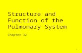 1 Structure and Function of the Pulmonary System Chapter 32.