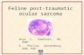 Feline post-traumatic ocular sarcoma Anya C. Hawthorn, MS, DVM* D. Phillip Sponenberg, DVM, PhD.