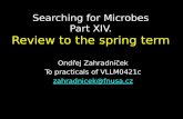 Searching for Microbes Part XIV. Review to the spring term Ondřej Zahradníček To practicals of VLLM0421c zahradnicek@fnusa.cz.
