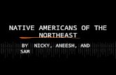 NATIVE AMERICANS OF THE NORTHEAST BY NICKY, ANEESH, AND SAM.