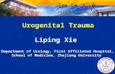 Liping Xie Department of Urology, First Affiliated Hospital, School of Medicine, Zhejiang University Urogenital Trauma.