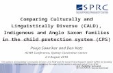 Comparing Culturally and Linguistically Diverse (CALD), Indigenous and Anglo Saxon families in the child protection system (CPS) Pooja Sawrikar and Ilan.