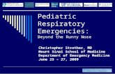 Pediatric Respiratory Emergencies: Beyond the Runny Nose Christopher Strother, MD Mount Sinai School of Medicine Department of Emergency Medicine June.