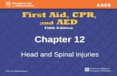 Chapter 12 Head and Spinal Injuries. Head Injuries Scalp wounds Skull fracture Brain injuries.