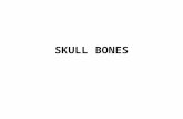 SKULL BONES. Cranial Bones Facial Bones CRANIAL BONES 8 Cranial Bones.