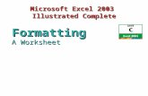 Microsoft Excel 2003 Illustrated Complete A Worksheet Formatting.