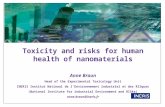 Toxicity and risks for human health of nanomaterials Anne Braun Head of the Experimental Toxicology Unit INERIS Institut National de l’Environnement industriel.