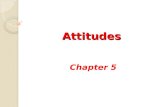 Attitudes Chapter 5. Attitudes Definition: Attitude  .