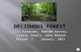 Lili Kawasaki, Hannah Harvey, Cassie Sheets, Sean Wroten Period: 1 January, 2011.
