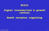 BC212/week7/20031 BC212 Signal transduction & growth control Death receptor signaling.