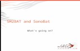 SM2BAT and SonoBat What’s going on?. Background There has been some feedback that SM2BAT and SonoBat do not integrate well together. SonoBat software.