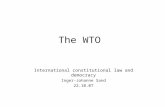The WTO International constitutional law and democracy Inger-Johanne Sand 22.10.07.