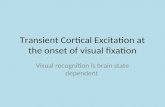 Transient Cortical Excitation at the onset of visual fixation Visual recognition is brain state dependent.