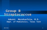5/18/20151 Group B Streptococcus Group B Streptococcus Adunni Morohunfola, M.D. Dept. of Pediatrics, Texas Tech.