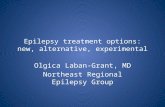 Epilepsy treatment options: new, alternative, experimental Olgica Laban-Grant, MD Northeast Regional Epilepsy Group.
