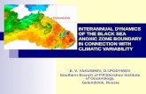 INTERANNUAL DYNAMICS OF THE BLACK SEA ANOXIC ZONE BOUNDARY IN CONNECTION WITH CLIMATIC VARIABILITY E. V. YAKUSHEV, O.I.PODYMOV Southern Branch of P.P.Shirshov.