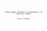 INTRA-TUMORAL METABOLIC HETEROGENEITY OF CERVICAL CANCER Perry Grigsby.