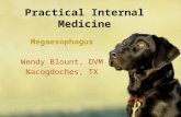 Practical Internal Medicine Megaesophagus Wendy Blount, DVM Nacogdoches, TX.