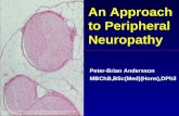 An Approach to Peripheral Neuropathy Peter-Brian Andersson MBChB,BSc(Med)(Hons),DPhil 20&%20Physiology/2010/2010%20Exam%20.
