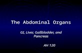 The Abdominal Organs GI, Liver, Gallbladder, and Pancreas AH 120.