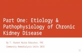 Part One: Etiology & Pathophysiology of Chronic Kidney Disease By T. Parent Nurse Educator, PHC Community Hemodialysis Units 2015.