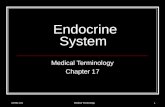 10-501-101Medical Terminology 1 Endocrine System Medical Terminology Chapter 17.