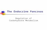 The Endocrine Pancreas Regulation of Carbohydrate Metabolism.