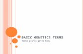 BASIC GENETICS TERMS Terms you’ve gotta know. GENE Gene : a section of DNA that codes for a trait A chromosome is a chunk of DNA and genes are parts of.