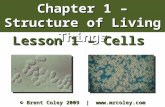 Chapter 1 – Structure of Living Things Lesson 1 – Cells © Brent Coley 2009 | .