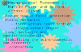 Frolich, Human Anatomy, Mechanics of Movement Mechanics of Movement I: Muscle Force and Action Across Joints  Review muscle force generation  Muscle.