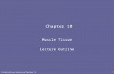 Principles of Human Anatomy and Physiology, 11e1 Chapter 10 Muscle Tissue Lecture Outline.