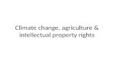 Climate change, agriculture & intellectual property rights.