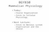 BGYB30 Mammalian Physiology Today: –Course Organization –Intro to Cellular Physiology Next Lecture: –Intro to Nervous system organization and the neuron.