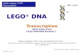 LEGO ® DNA Transcription With slides from LEGO DNA/RNA Booklet 1 © The LEGO Group and MIT All rights reserved KV Version 4-26-11 LEGO Lesson 3 PPT Transcription.
