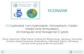 ICOsahedral Non-hydrostatic Atmospheric Model - model core formulation on triangular and hexagonal C-grids Almut Gassmann (Max Planck Institute for Meteorology,