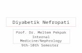 Diyabetik Nefropati Prof. Dr. Meltem Pekpak Internal Medicine/Nephrology 9th-10th Semester.