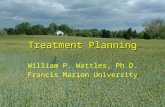 1 Treatment Planning William P. Wattles, Ph.D. Francis Marion University.