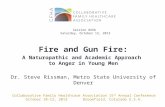 Fire and Gun Fire: A Naturopathic and Academic Approach to Anger in Young Men Dr. Steve Rissman, Metro State University of Denver Collaborative Family.