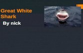 Great White Shark By nick.  My name is Nick and my animal is a Great White shark.