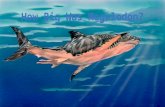 Who was Megalodon? The Great White Shark Mako SharkGreat White SharkMegalodon.